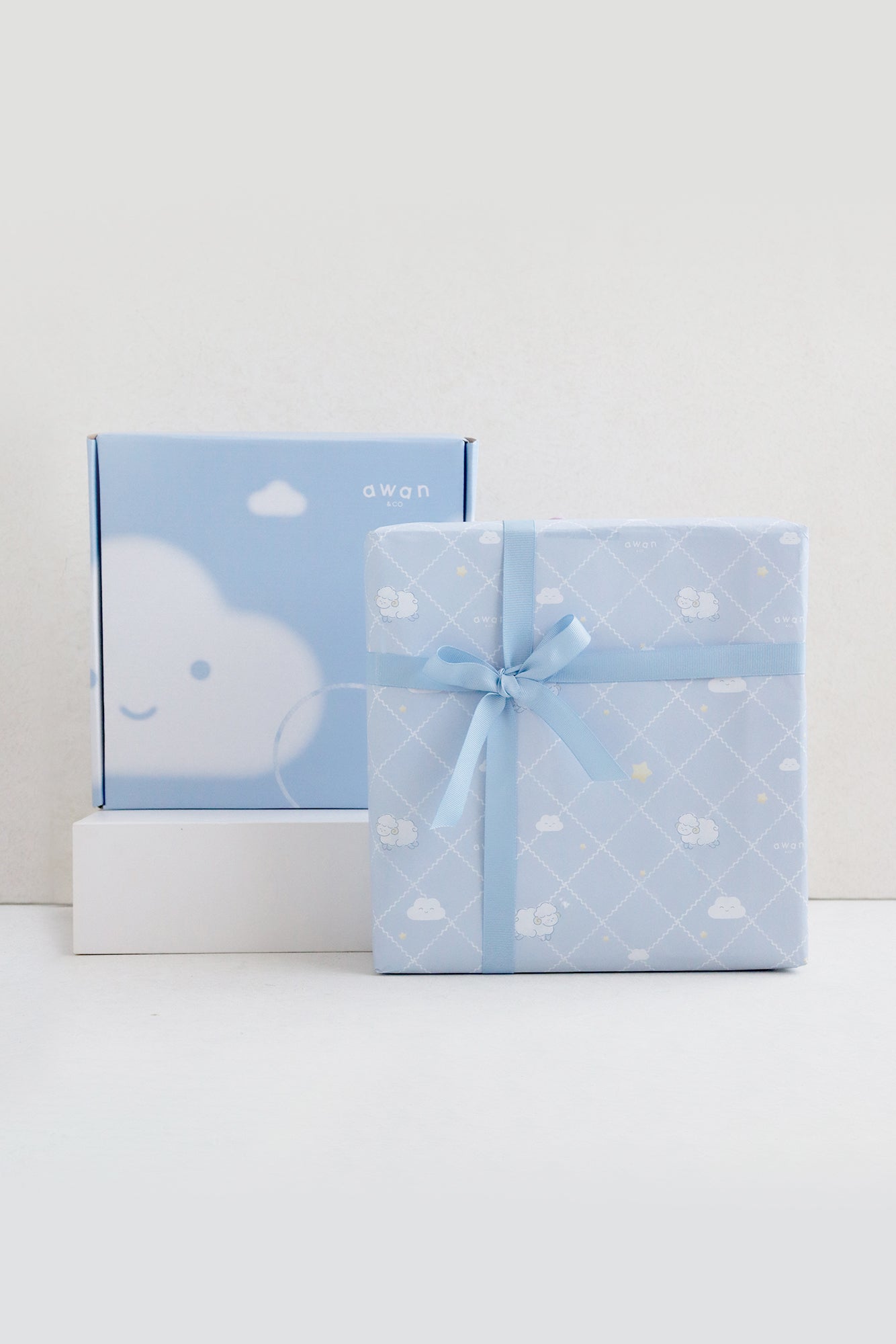 Wrapped Gift Box