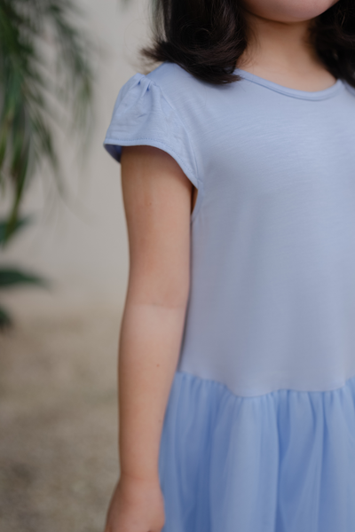 Tutu Dress in Blue