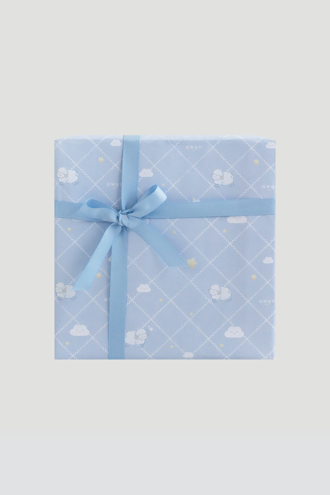 Wrapped Gift Box